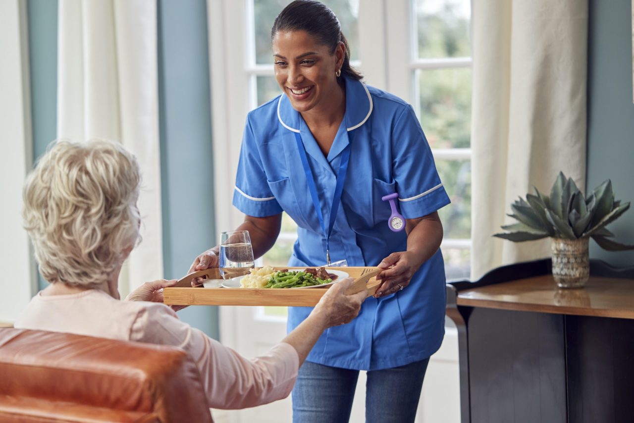Pine health care services limited